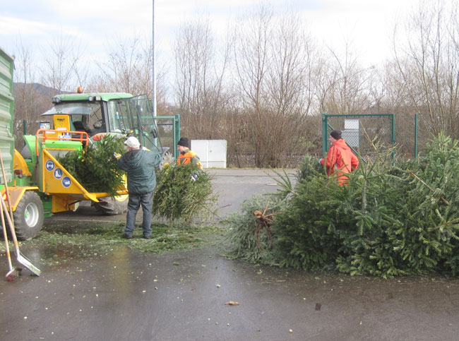 160128 saaldorf christbaum