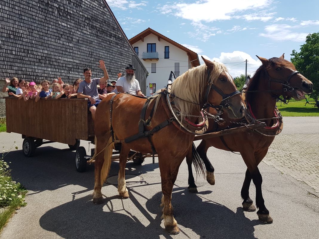 Impressionen vom Ferienprogramm in Teisendorf