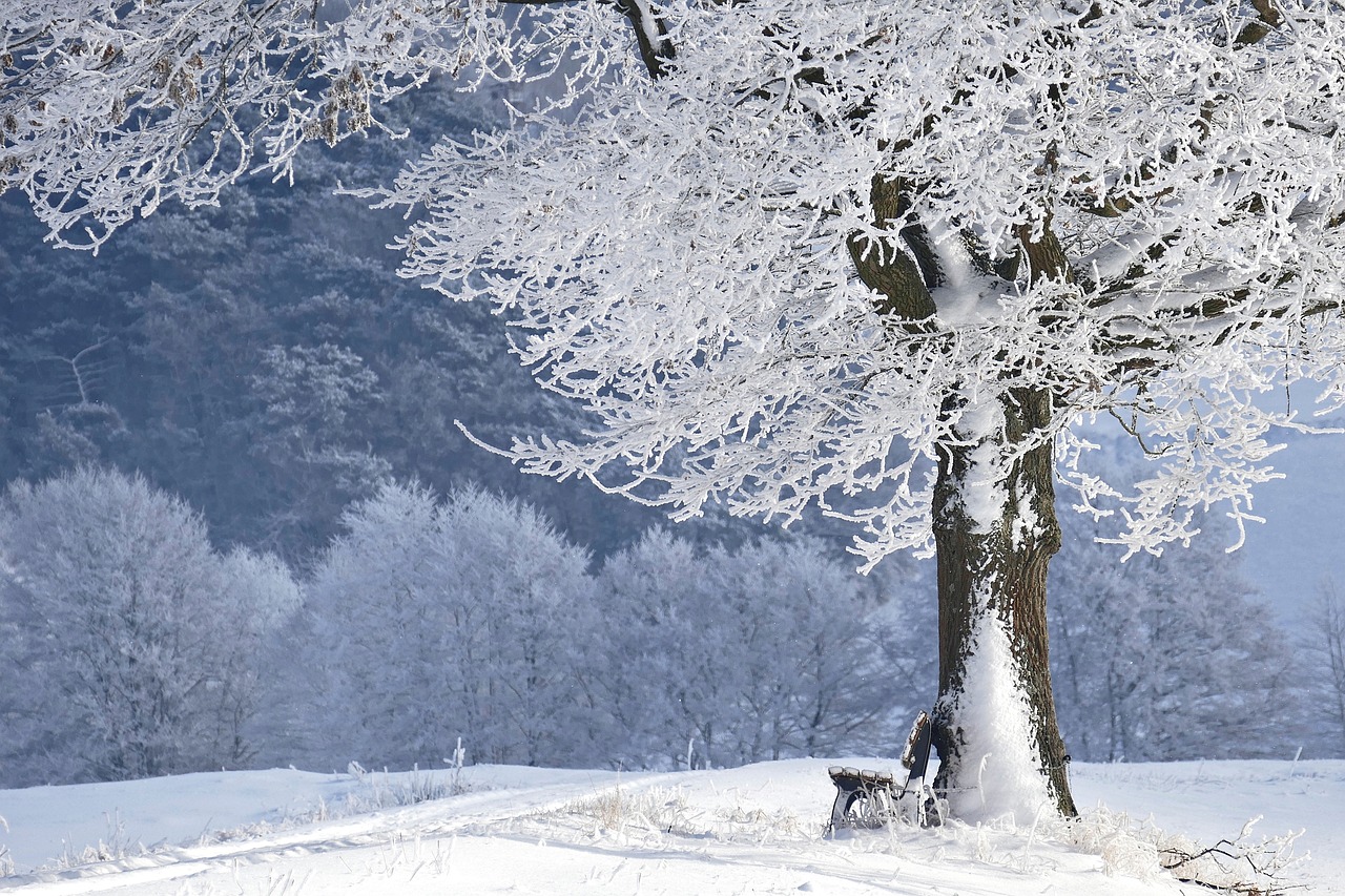 Winterliches Bild